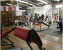Astros Gym
